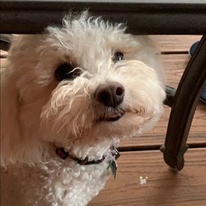 Meet your Posher, Sara